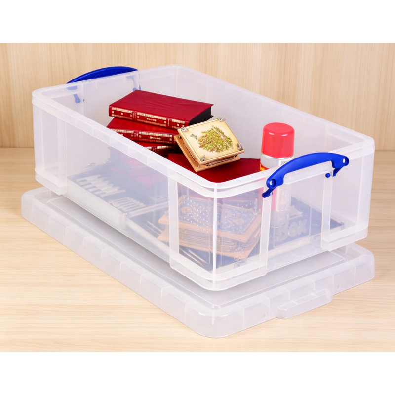 Rebrilliant Plastic Storage Tub & Tote