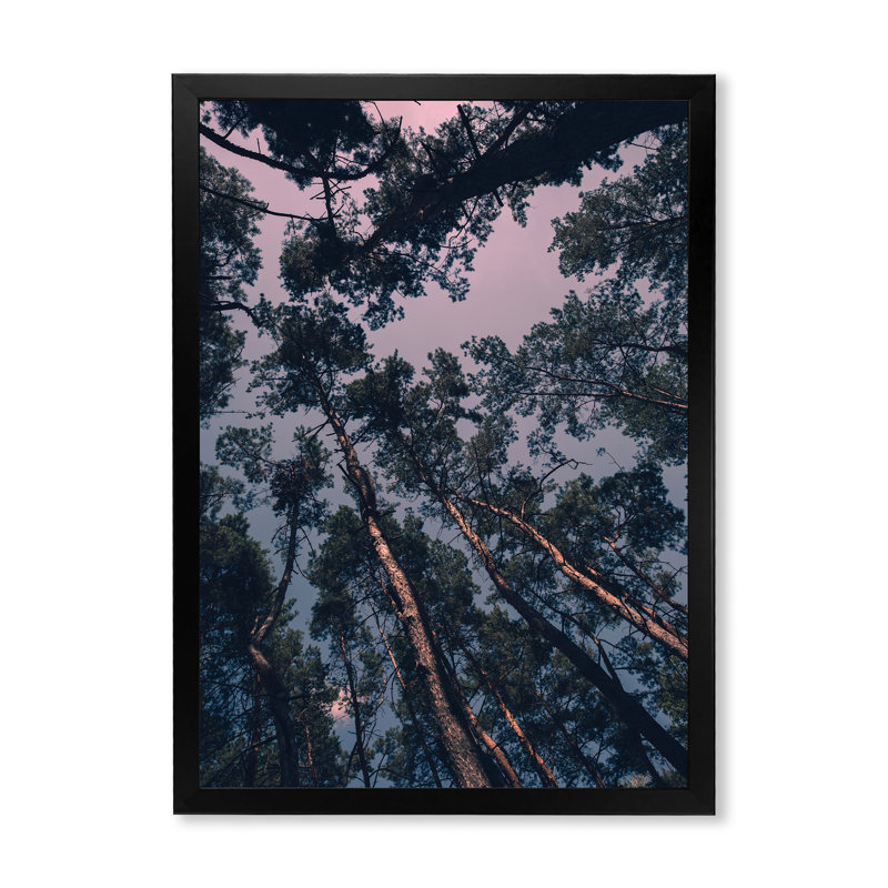 Paysage magique avec pin et ciel dramatique - impression sur toile tropicale, H 32 po x l 16 po