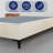 Dianne Upholstered Platform Bed-819560103