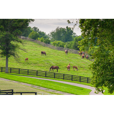 " Horses On A Farm "