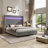 
Gerasim California Gray 60" Tall Faux-Fur Wingback Bed with LED Lights and USB Charging-1316539963-1323218801