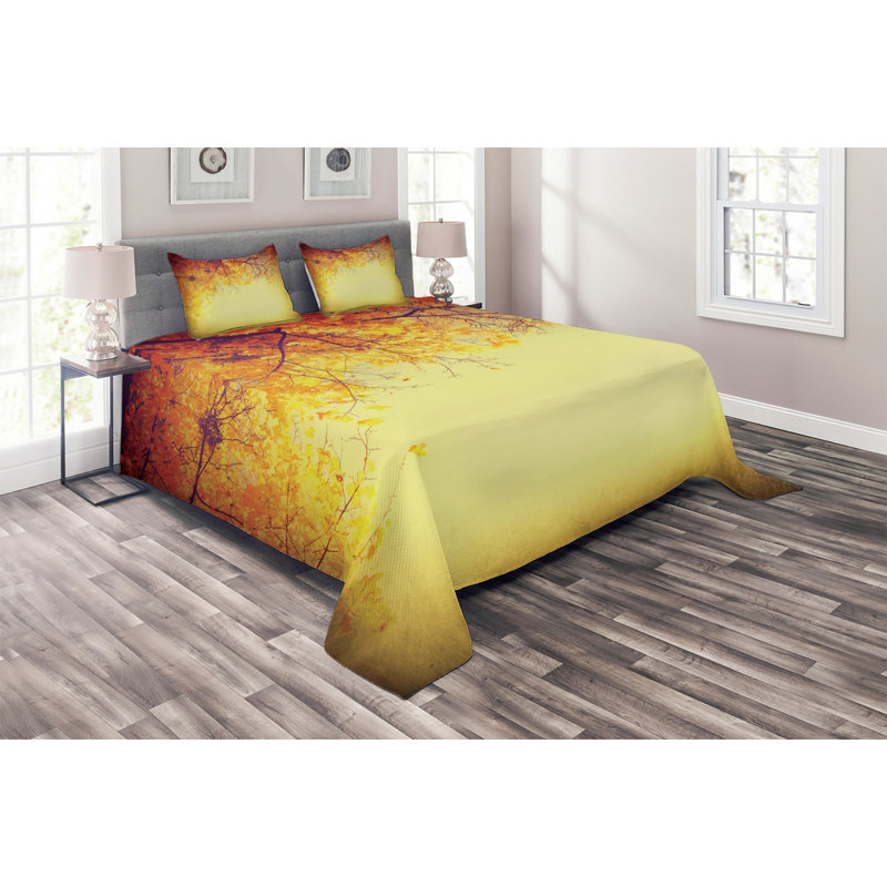 Farmhouse / Country Polyester Coverlet