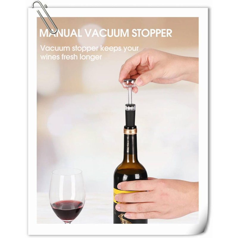 Dashawna Stainless Steel Bottle Stopper