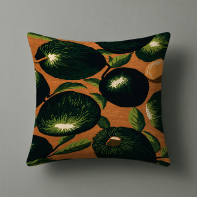 Indoor and Outdoor Throw Pillow