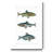 " Freshwater Fish III "-144707640