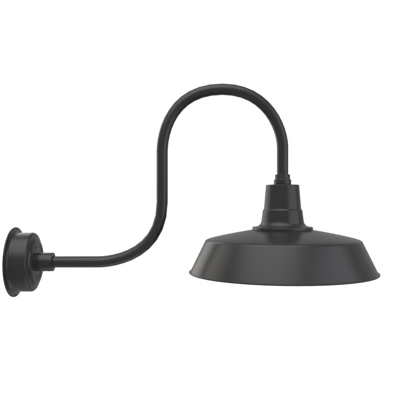 Luminaire de grange d'extérieur à DEL Haleigh, H 9 po x l 8 po x P 17 po, Noir mat