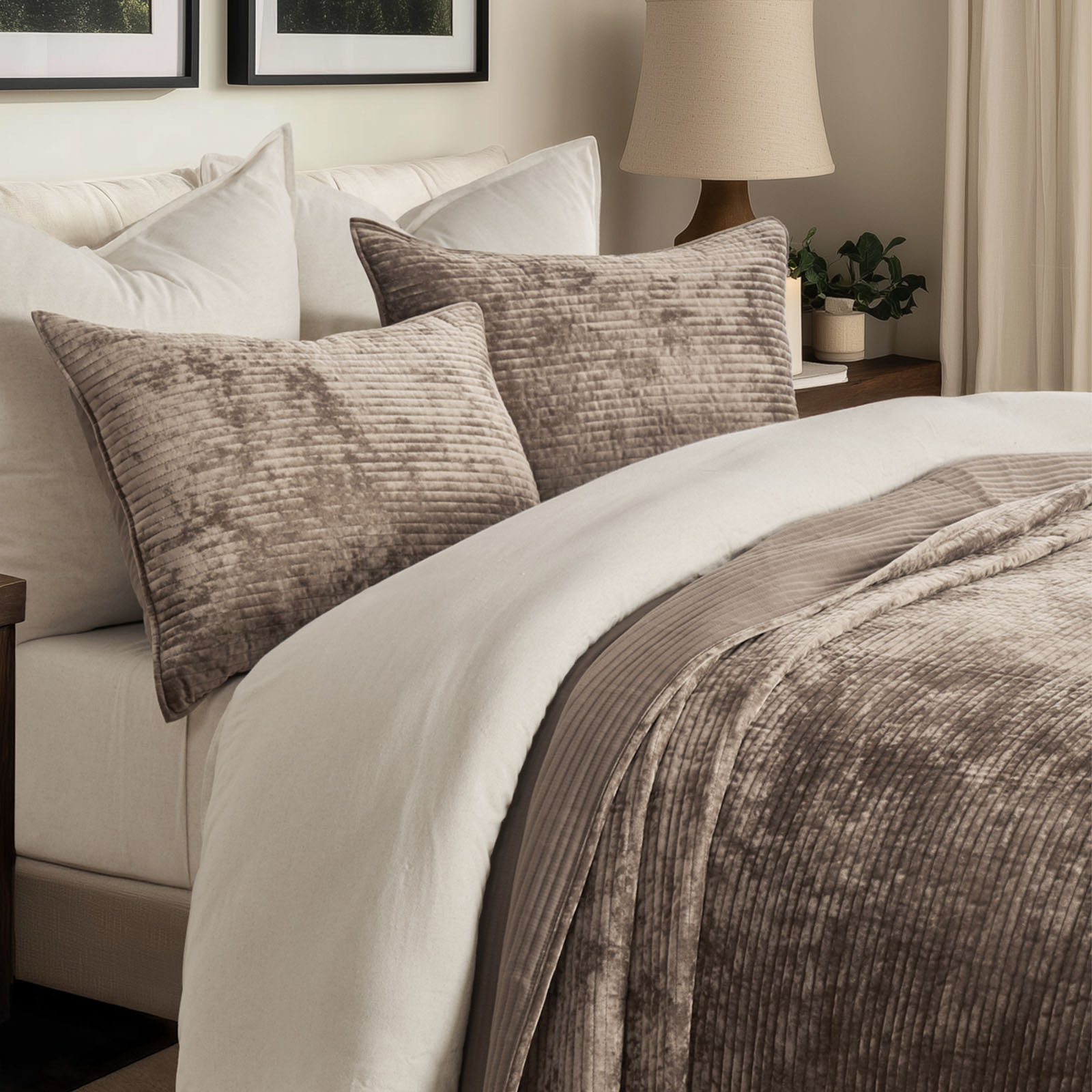 Velvet Quilt Set, Queen, Natural Tan