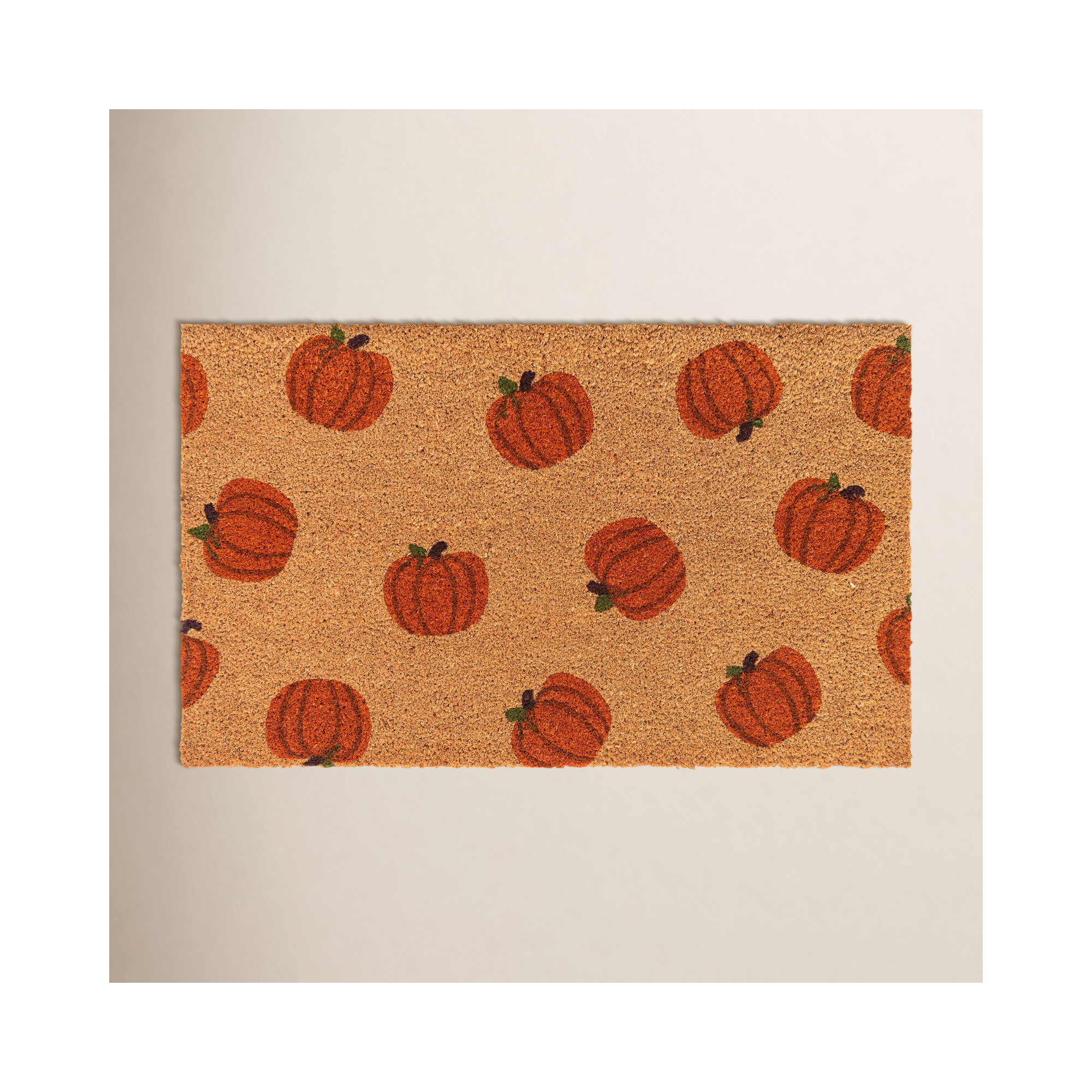Adamsdale Non-Slip Outdoor Doormat, Rectangle 1'6" x 2'6"