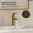 Single Hole Bathroom Faucet, Single Handle Bathroom Sink Faucet with Drain Assembly-113300765