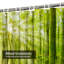 Sunbeams Forest Fog Bright Natural Shower Curtain with 12 Hooks-1751190137
