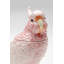 Decorative jar Exotic Bird