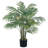 Faux Palm Tree in Pot-1918574913