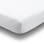 Fascino Percale Fitted Sheet