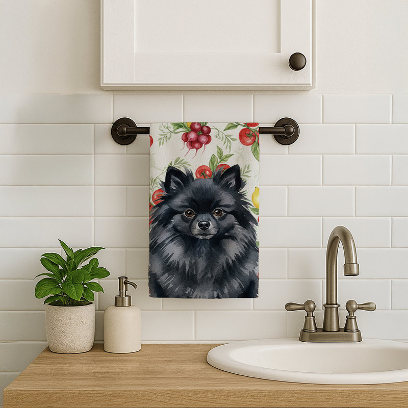 Torchon noir Poméranien, Black Pomeranian