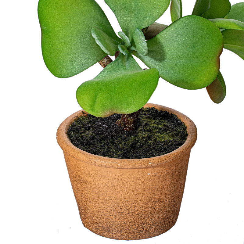 Plante grasse artificielle en pot