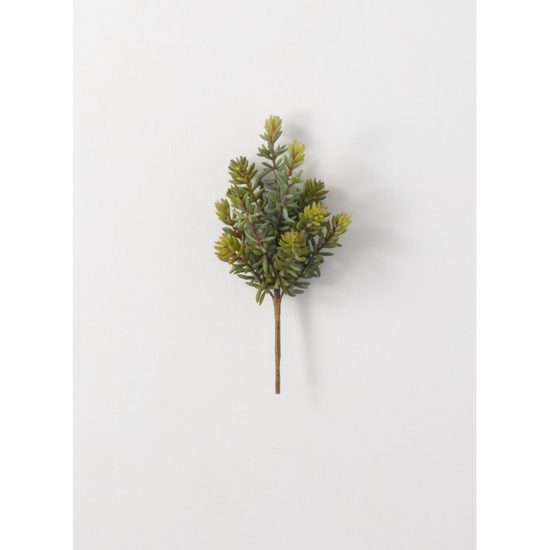 Plante grasse artificielle 11 po