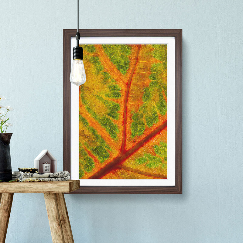 Map of a Leaf - Picture Frame Painting Print, 33cm H x 24cm W x 2cm D, Walnut Framed