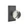 Privacy Providence Crystal Clear Acrylic Knob with Rectangular Rose