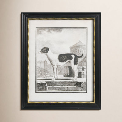 Vintage Reproduction Dog Print with Solid Wood Frame