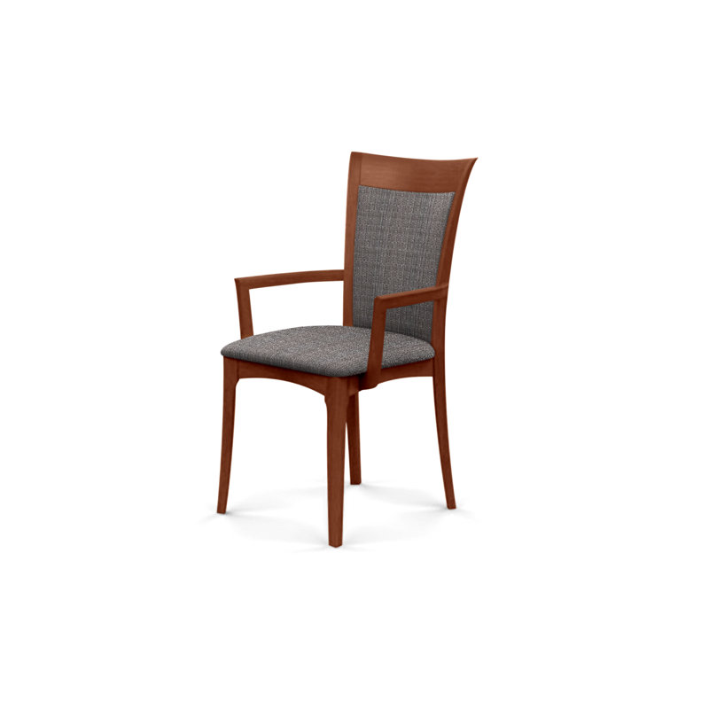 Morgan Upholstered Arm Chair, Cognac Cherry, Microseude Onyx
