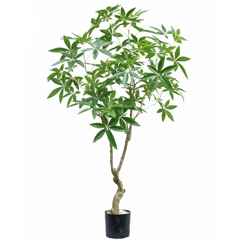 Anavia Faux Palm Tree in Pot Liner, 180cm H x 90cm W x 90cm D