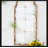 Chongris Arch Wall Mirror