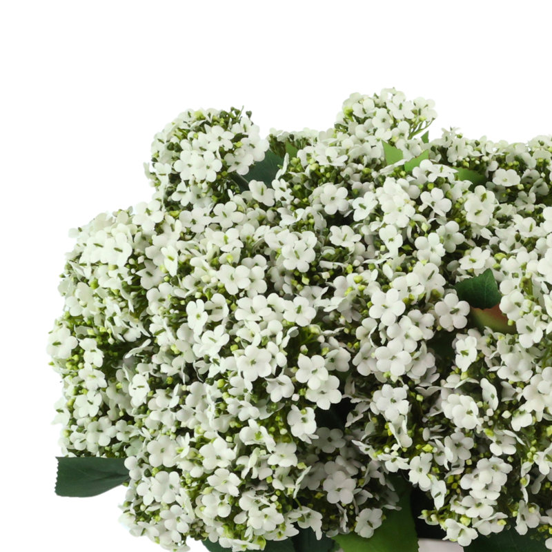 Hortensias en herbe dans un vase en céramique
