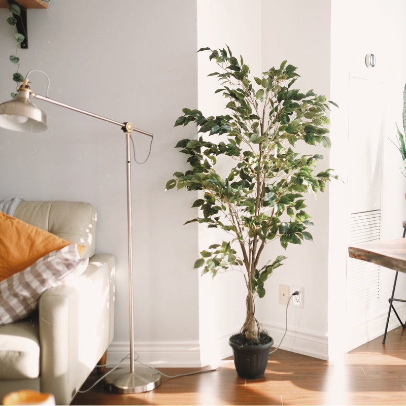 Doublure en pot deluxe ficus tree