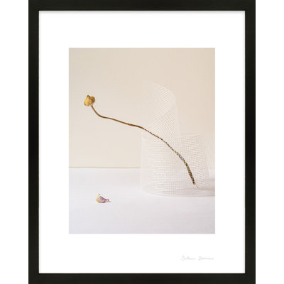 Lombard "Balance 2" Photo Print
