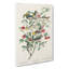 Collection of Warbler Birds by John James Audubon - Wrapped Canvas-55371578