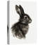 «Black and White Rabbit Art», reproduction d'art sur toile encadrée-1250297800-1250297844