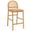 Laylie Rattan And Leather Counter Stool-1908221452