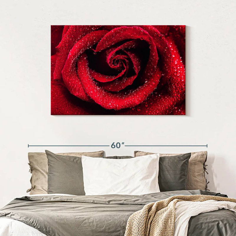 Gouttelettes sur une rose rouge, H 30 po x l 45 po