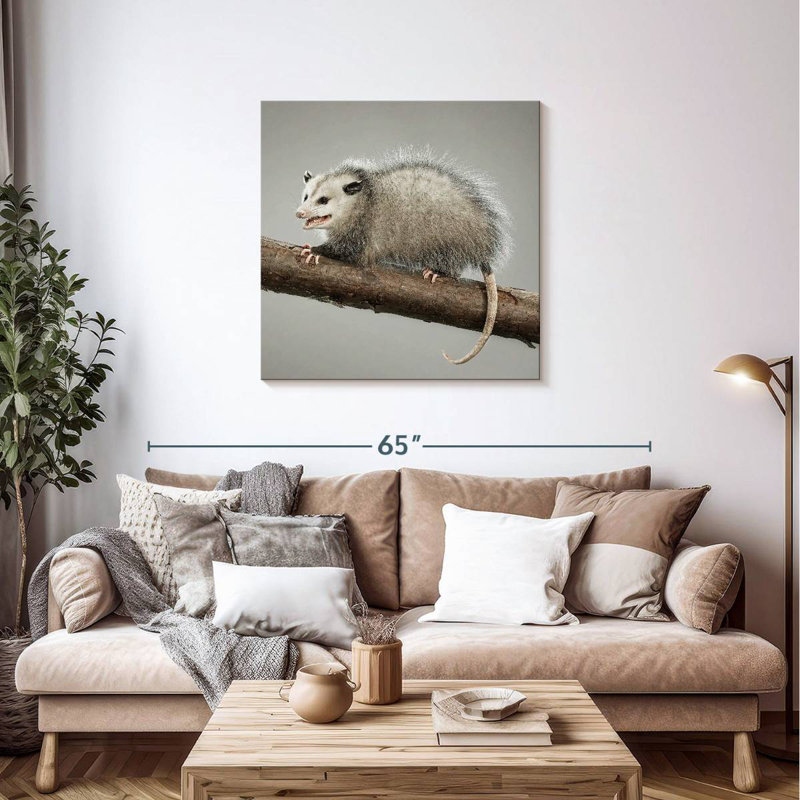 Bramoss Snarky Opossum, H 36 po x l 36 po