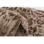 Tapis beige Country & Floral-1258040877