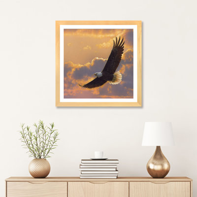 " Soaring Spirit - Bald Eagle " by Collin Bogle