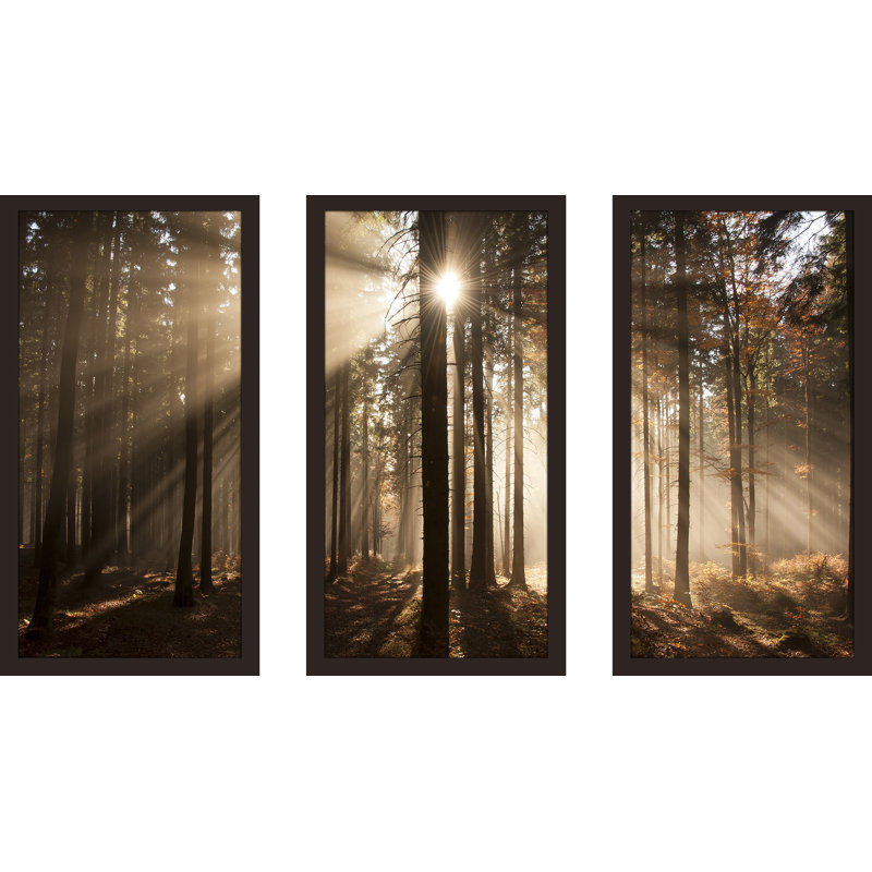 «Autumn Morning in Forest», ensemble de 3 reproductions de photos encadrées, H 33,5 po x l 52,5 po x P 1 po