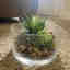Customer photo 2 of 4