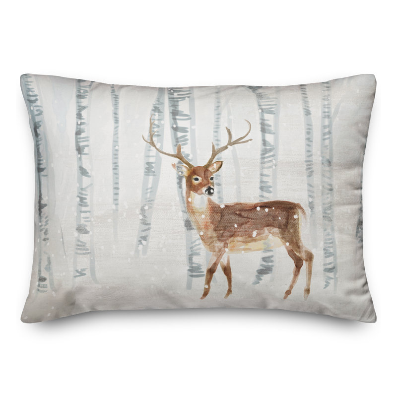  Rectangular Pillow Cover & Insert