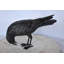 Raven regardant vers le bas bronze - Taille: L 19 po x l 5 po x H 11 po.