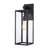 Tornillo 1-Light Outdoor Wall Lantern-86138605-98247985