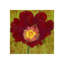 Flor Urbana II Painting-26937088-26937092