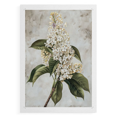 Série FLORAL CCLXI - Impression sur toile seulement - NON CADRE