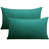 Vert foncé