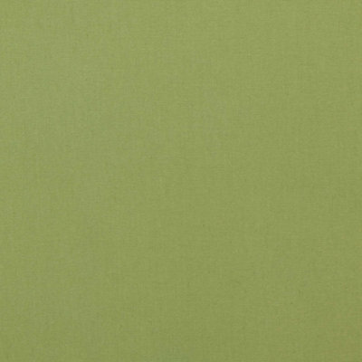 Summerwind Blue Fabric - Solid Green