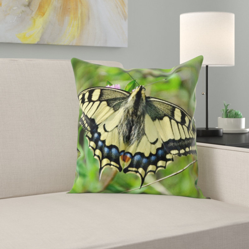 Coussin décoratif papillon