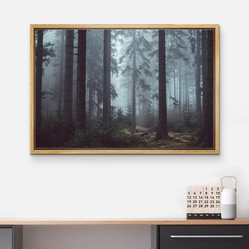 Nature, paysage, pin, forêt, brume, Cadre naturel, H 24 po x l 36 po x P 1,5 po