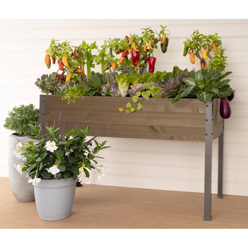 Gracie Oaks Hassi (H 21 po x 47 po x 30 po) - brun