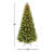 90' Lighted Pine Christmas Tree
