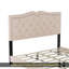 Queen Size Upholstered Bed Frame With Rivet Design, Modern Velvet Platform Bed With Tufted Headboard,Grey-1962006031-1962006026
